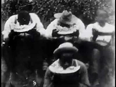 Watermelon Contest (1900) afişi Watermelon Contest (1900) afişi
