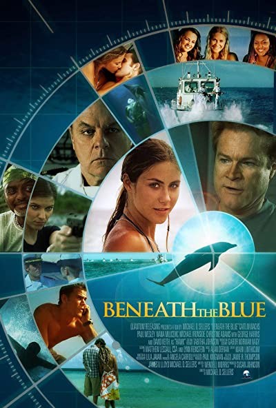 Way of the Dolphin (2010) afişi Way of the Dolphin (2010) afişi