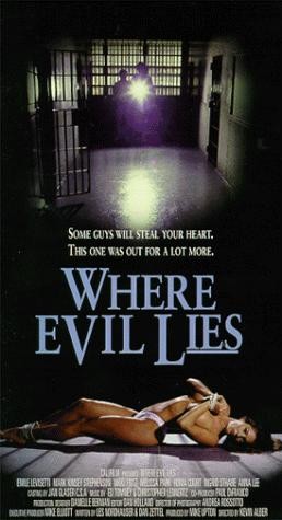 Where Evil Lies (1995) afişi Where Evil Lies (1995) afişi