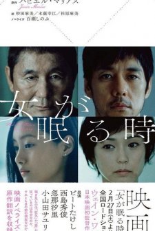 While the Women Are Sleeping (2016) afişi