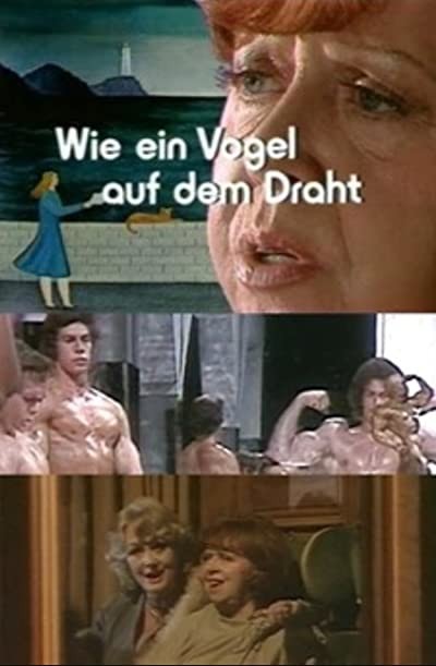 Wie ein Vogel auf dem Draht (1975) afişi Wie ein Vogel auf dem Draht (1975) afişi