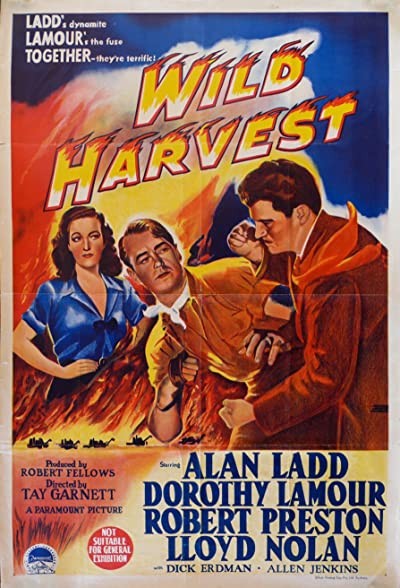 Wild Harvest (1947) afişi Wild Harvest (1947) afişi