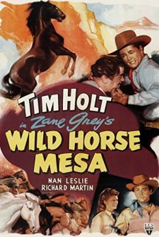 Wild Horse Mesa (1947) afişi