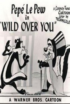 Wild Over You (1953) afişi