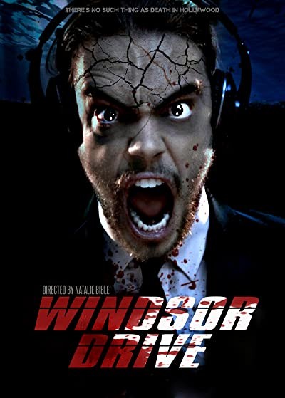 Windsor Drive (2015) afişi Windsor Drive (2015) afişi