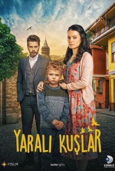 Yaralı Kuşlar (2019) afişi