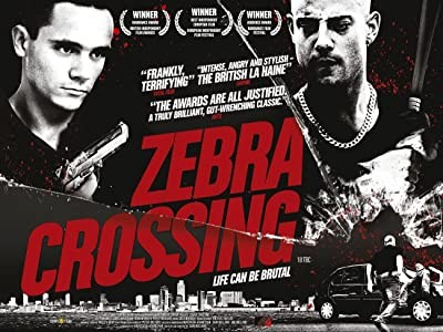 Zebra Crossing (2008) afişi Zebra Crossing (2008) afişi