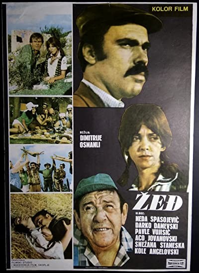 Zedj (1971) afişi Zedj (1971) afişi
