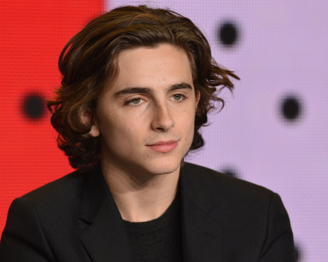 Timothée Chalamet Fotoğrafları 2