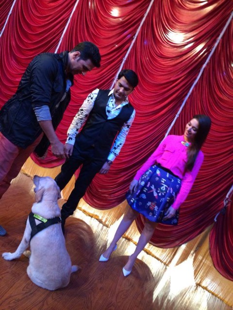 Kapil Sharma Fotoğrafı