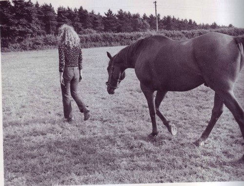 Robert Plant Fotoğrafları 6