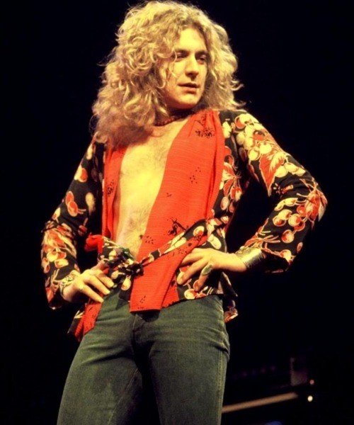 Robert Plant Fotoğrafı