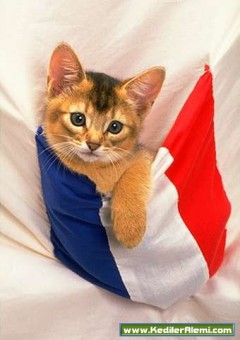 Xianghai Gu Fotoğrafı