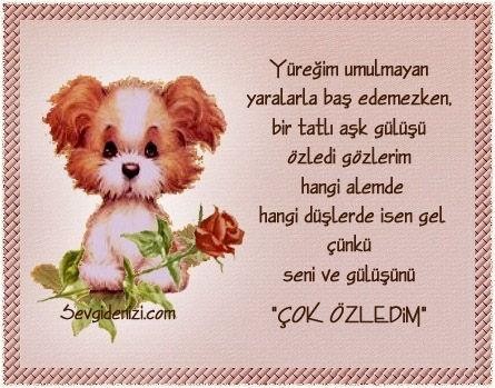 June Cunningham Fotoğrafı