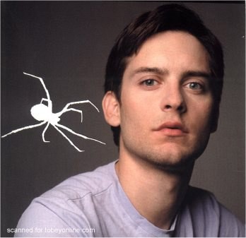 Tobey Maguire Fotoğrafları 54