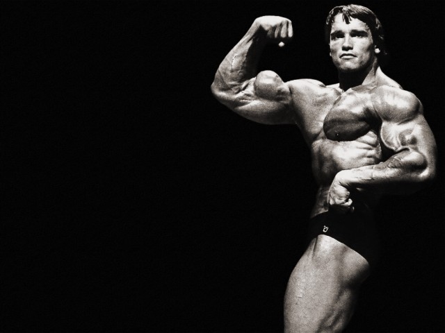 Arnold Schwarzenegger Fotoğrafları 51