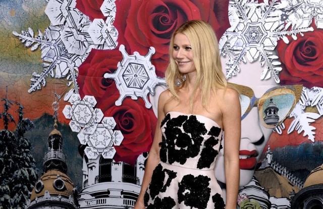 Gwyneth Paltrow Fotoğrafı