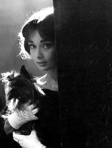 Audrey Hepburn Fotoğrafları 15
