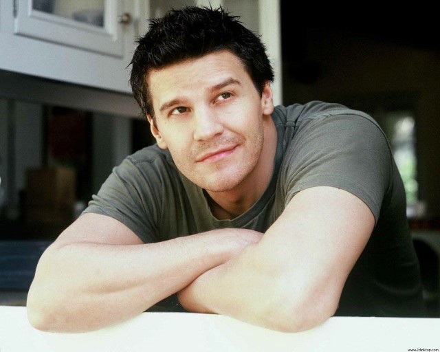 David Boreanaz Fotoğrafları 6