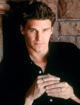 David Boreanaz Fotoğrafları 17