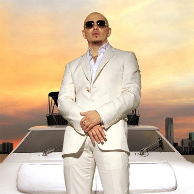 Pitbull Fotoğrafı