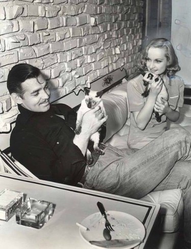 Clark Gable Fotoğrafları 9