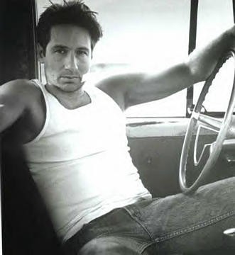 David Duchovny Fotoğrafları 4