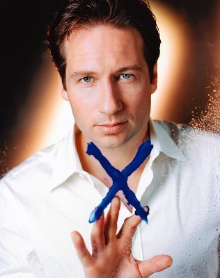 David Duchovny Fotoğrafları 8