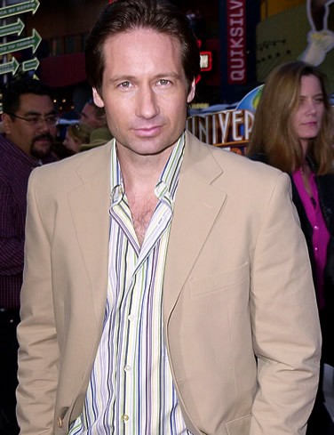 David Duchovny Fotoğrafları 9