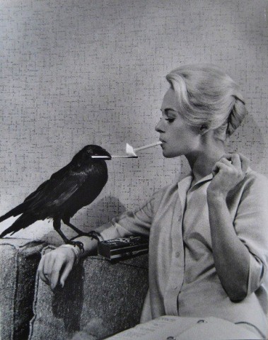 Tippi Hedren Fotoğrafı
