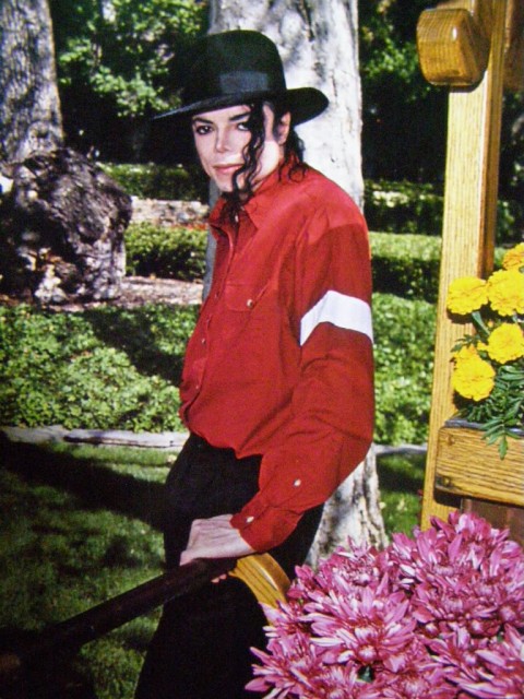 Michael Jackson Fotoğrafları 2296