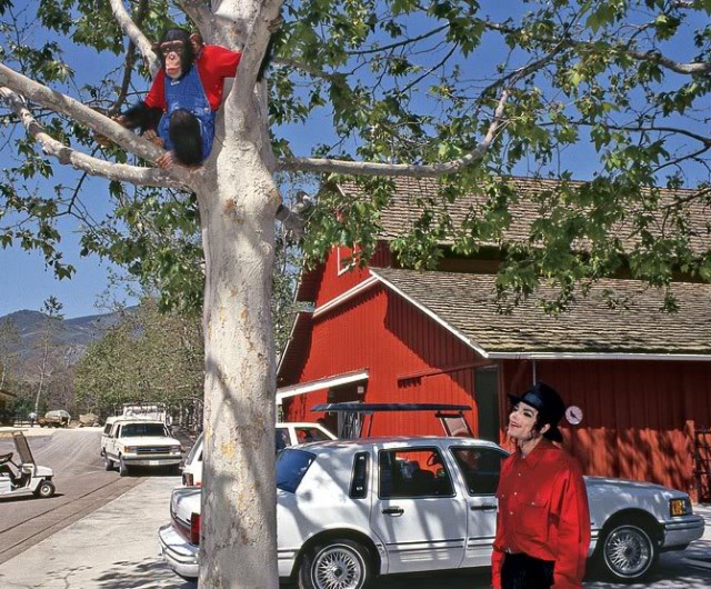 Michael Jackson Fotoğrafları 2341