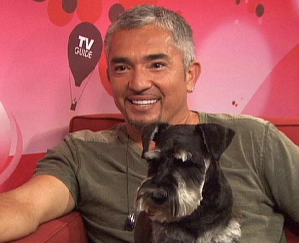Cesar Millan Fotoğrafı