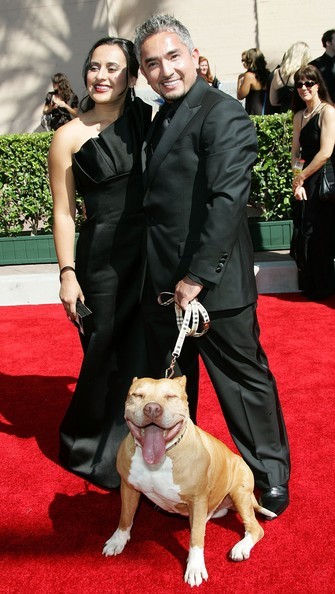 Cesar Millan Fotoğrafı