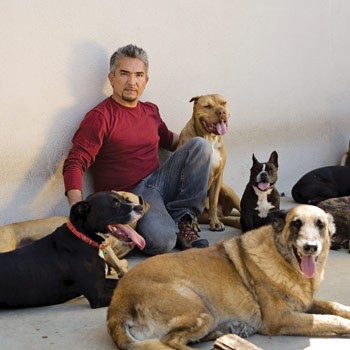 Cesar Millan Fotoğrafları 83