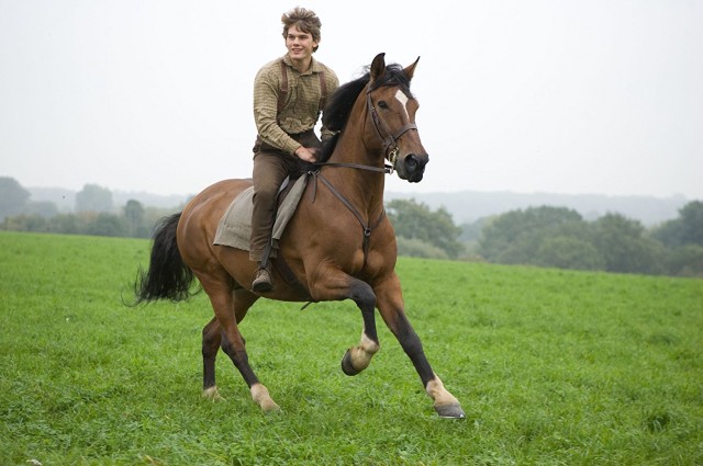 Jeremy Irvine Fotoğrafları 41