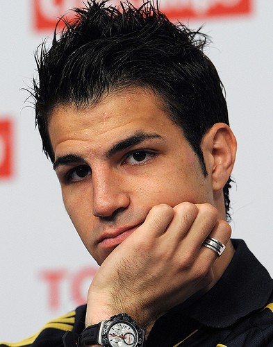 Cesc Fàbregas Fotoğrafı