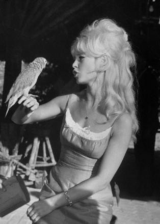 Brigitte Bardot Fotoğrafları 71