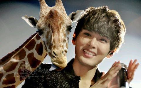Ryeowook Kim Fotoğrafı
