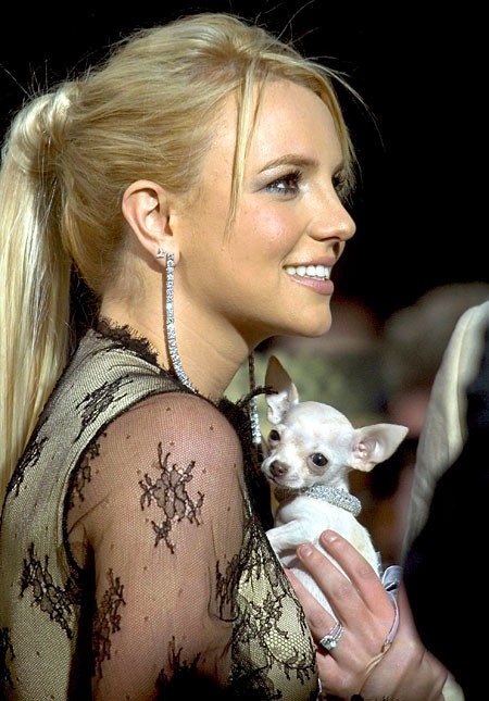 Britney Spears Fotoğrafları 135