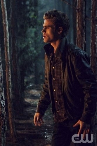 Paul Wesley Fotoğrafları 66