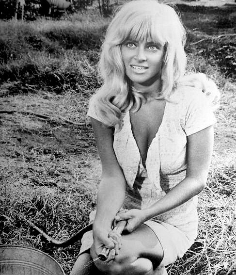 Joy Harmon Fotoğrafları 9