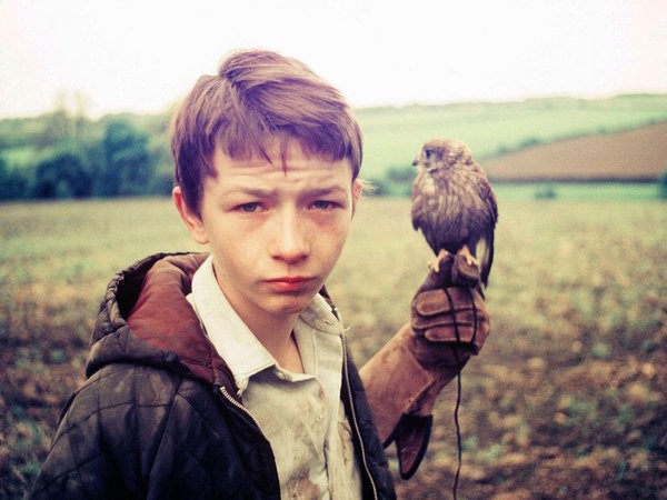 David Bradley (ii) Fotoğrafı