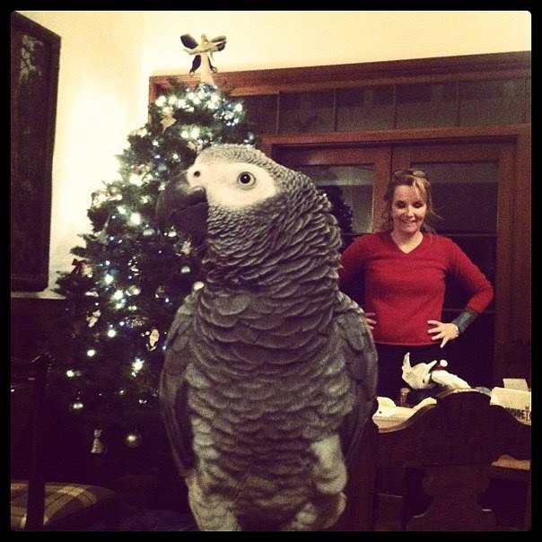 Zoey Deutch Fotoğrafı