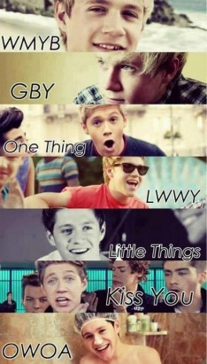 Niall Horan Fotoğrafı