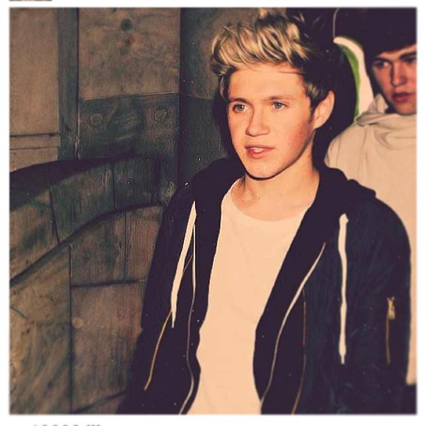 Niall Horan Fotoğrafı