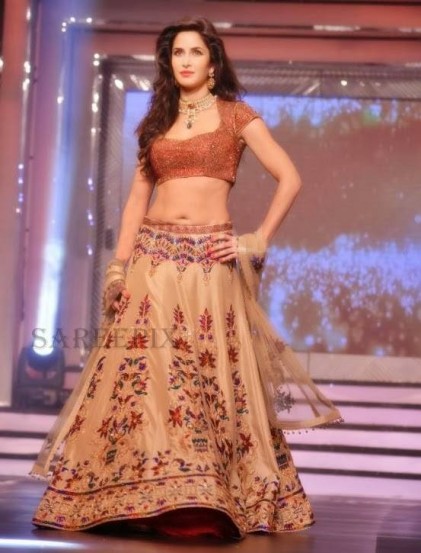 Katrina Kaif Fotoğrafı