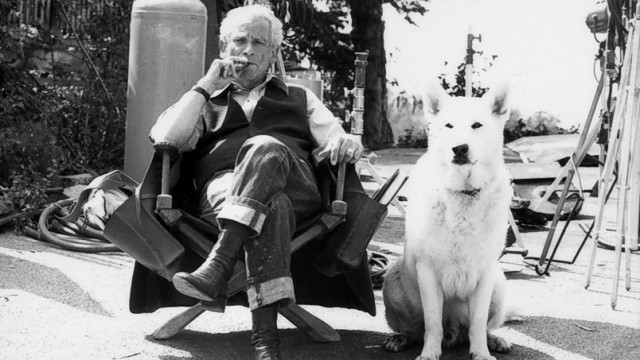 Samuel Fuller Fotoğrafı