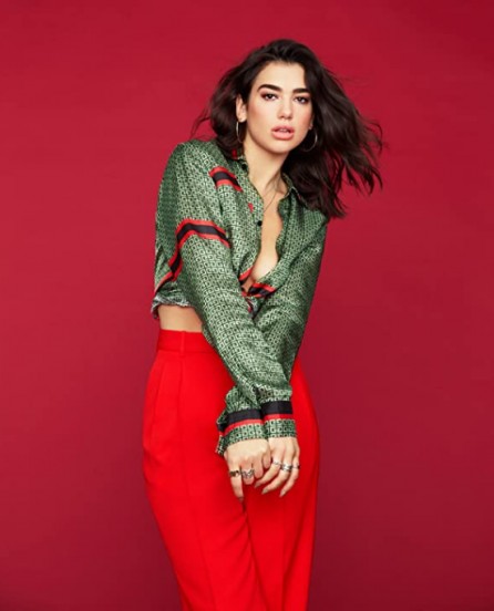 Dua Lipa Fotoğrafları 17