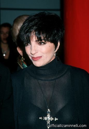 Liza Minnelli Fotoğrafları 14